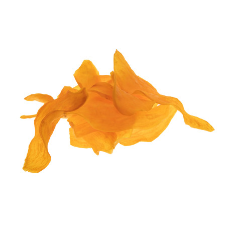 Chips de Camote