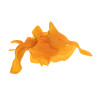 Chips de Camote